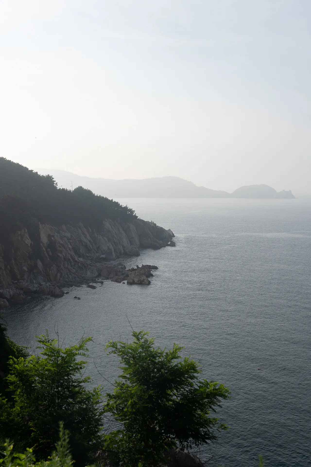 山东