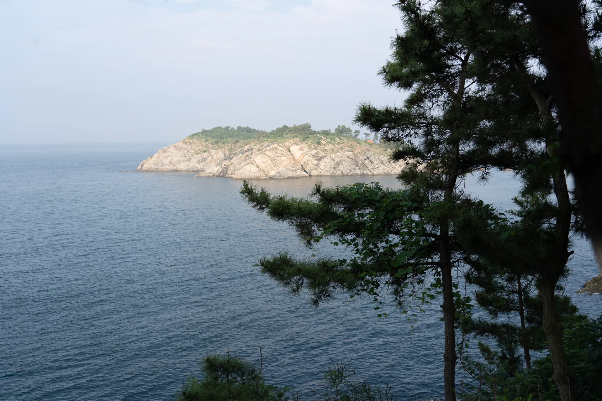 山东
