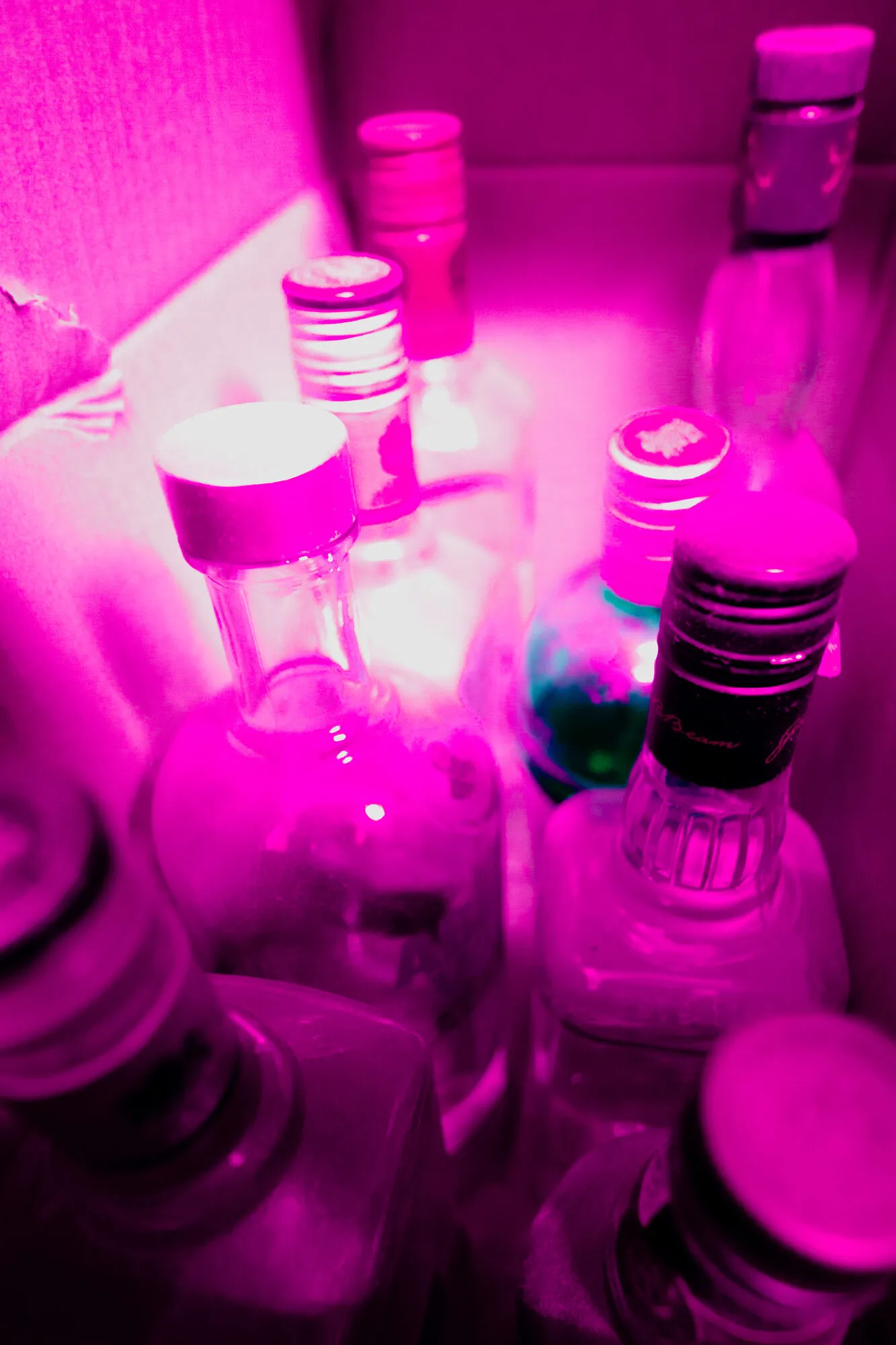 宿舍酒瓶